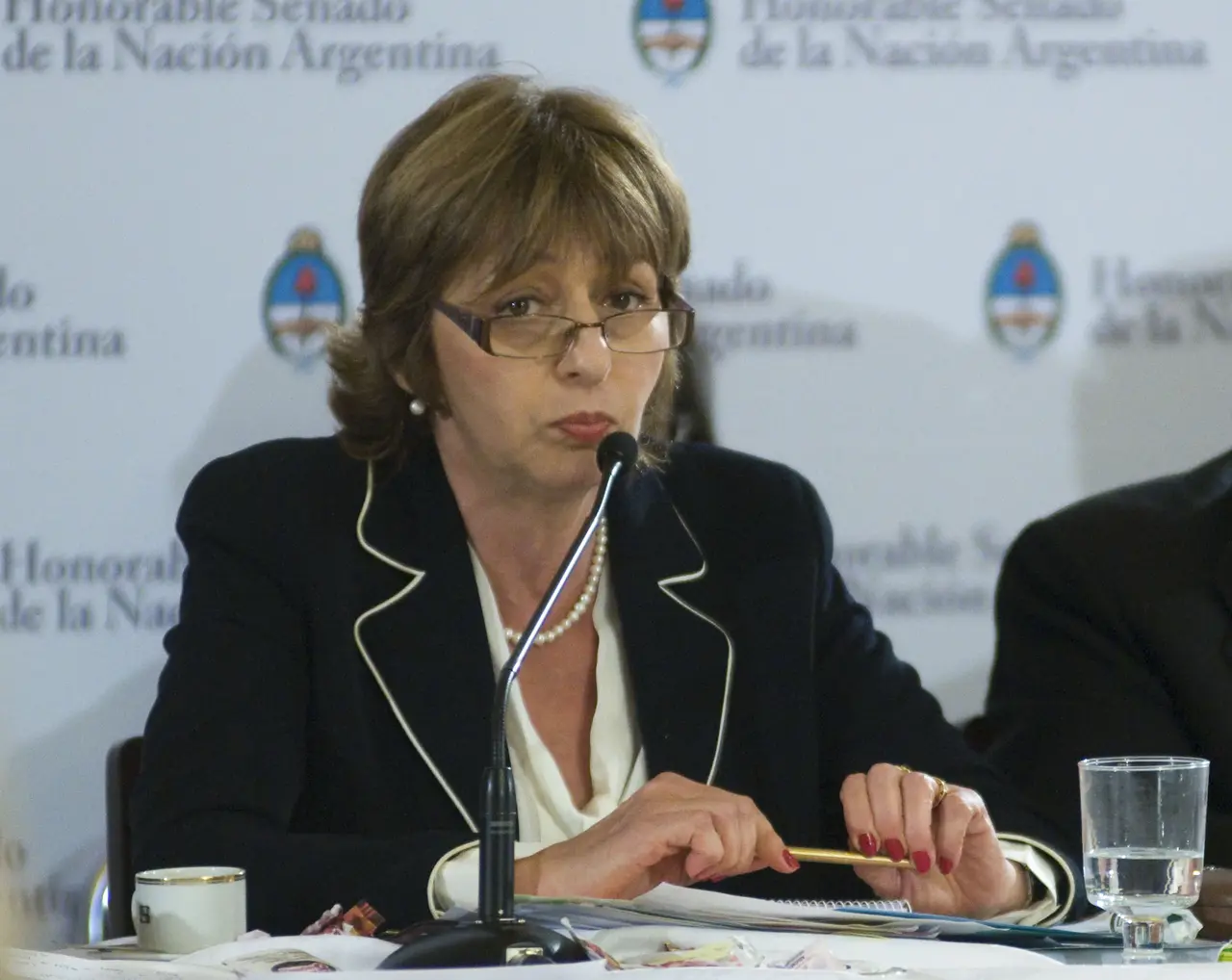 Justicia Legí­tima trabaja en una "propuesta superadora" sobre cautelares