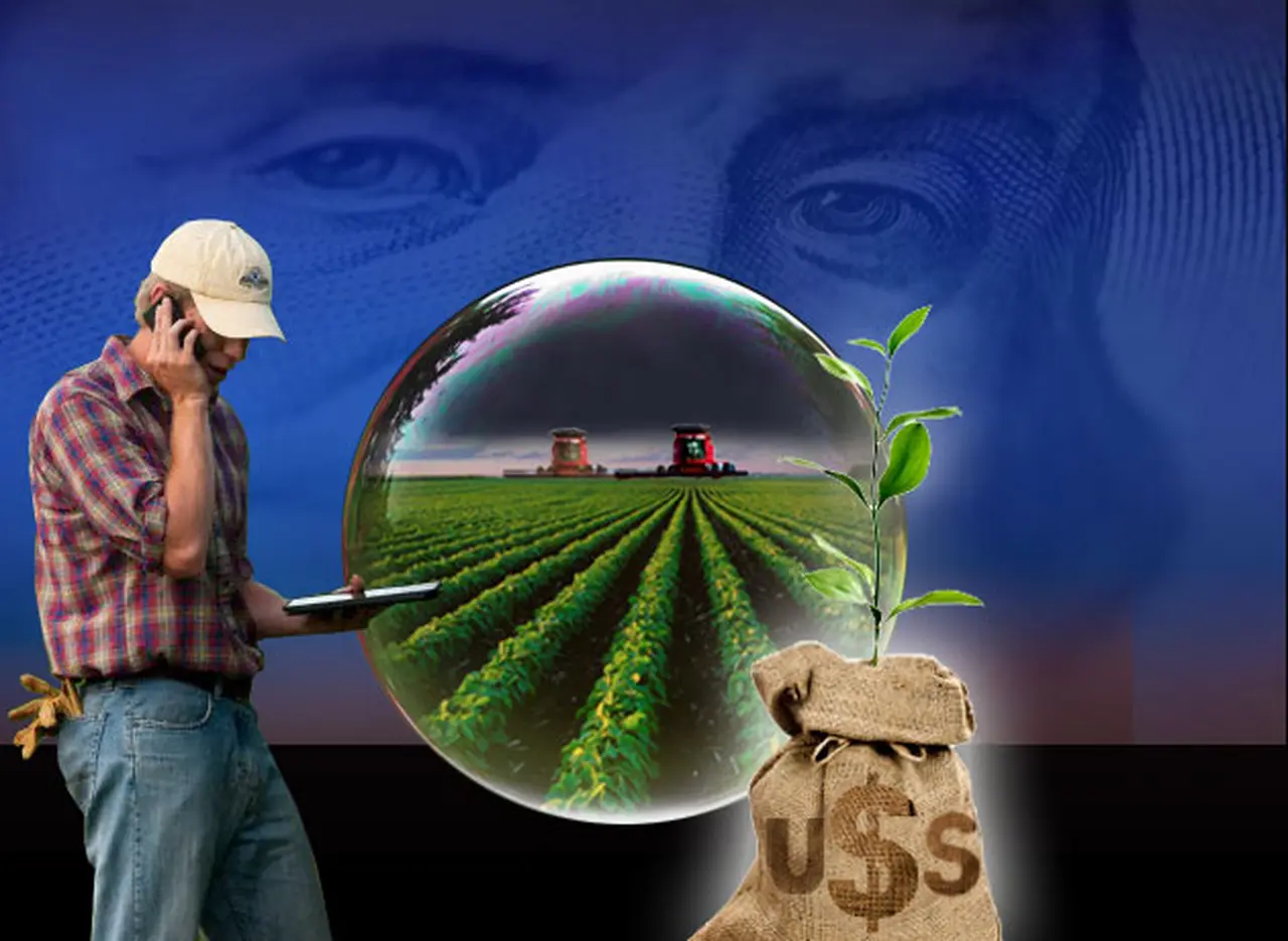 Este año se producirán casi 60 millones de toneladas de soja