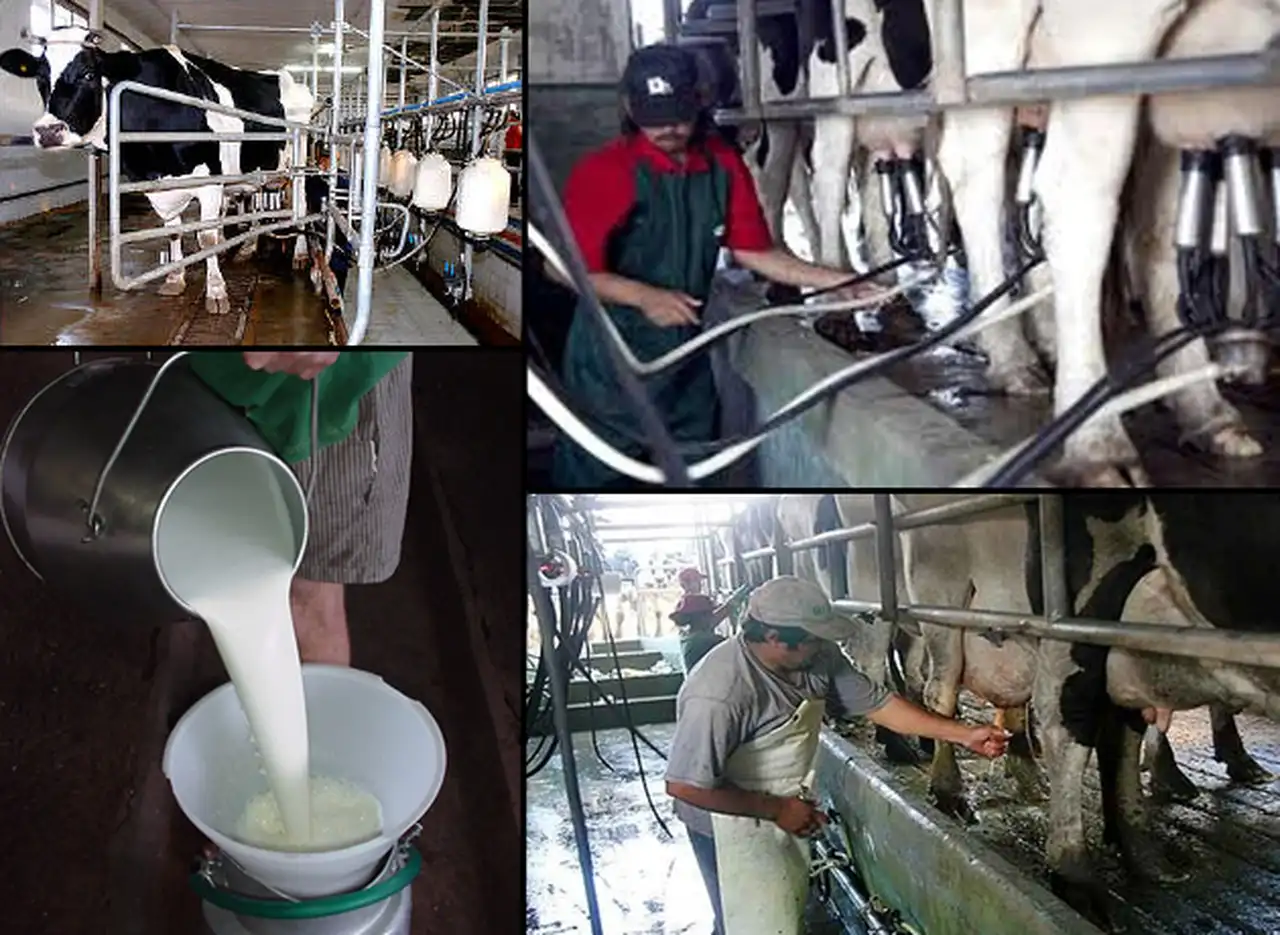 Para la Federación Agraria, la "devaluación y la inflación" profundizaron la crisis de los tamberos