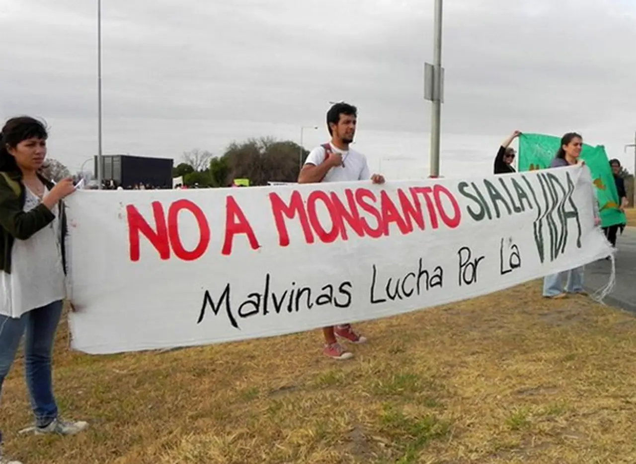 Monsanto: presentan un nuevo amparo para frenar la construcción de la planta procesadora