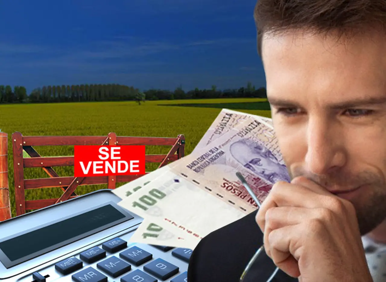 Precio de los campos, por el suelo: por cepo al dólar y baja rentabilidad, tocan su peor nivel en tres años