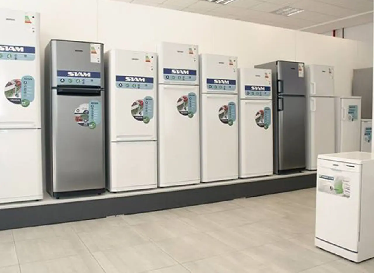 Casi el 90% de los electrodomésticos que se venden en el paí­s son de producción nacional