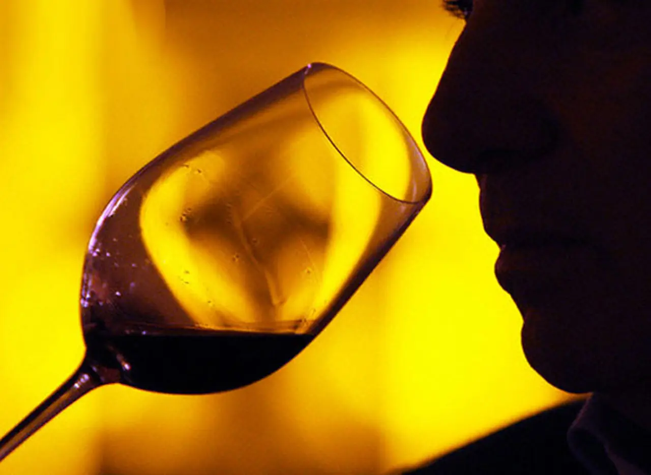Estos son los vinos argentinos elegidos por los consumidores de menos de 30 años