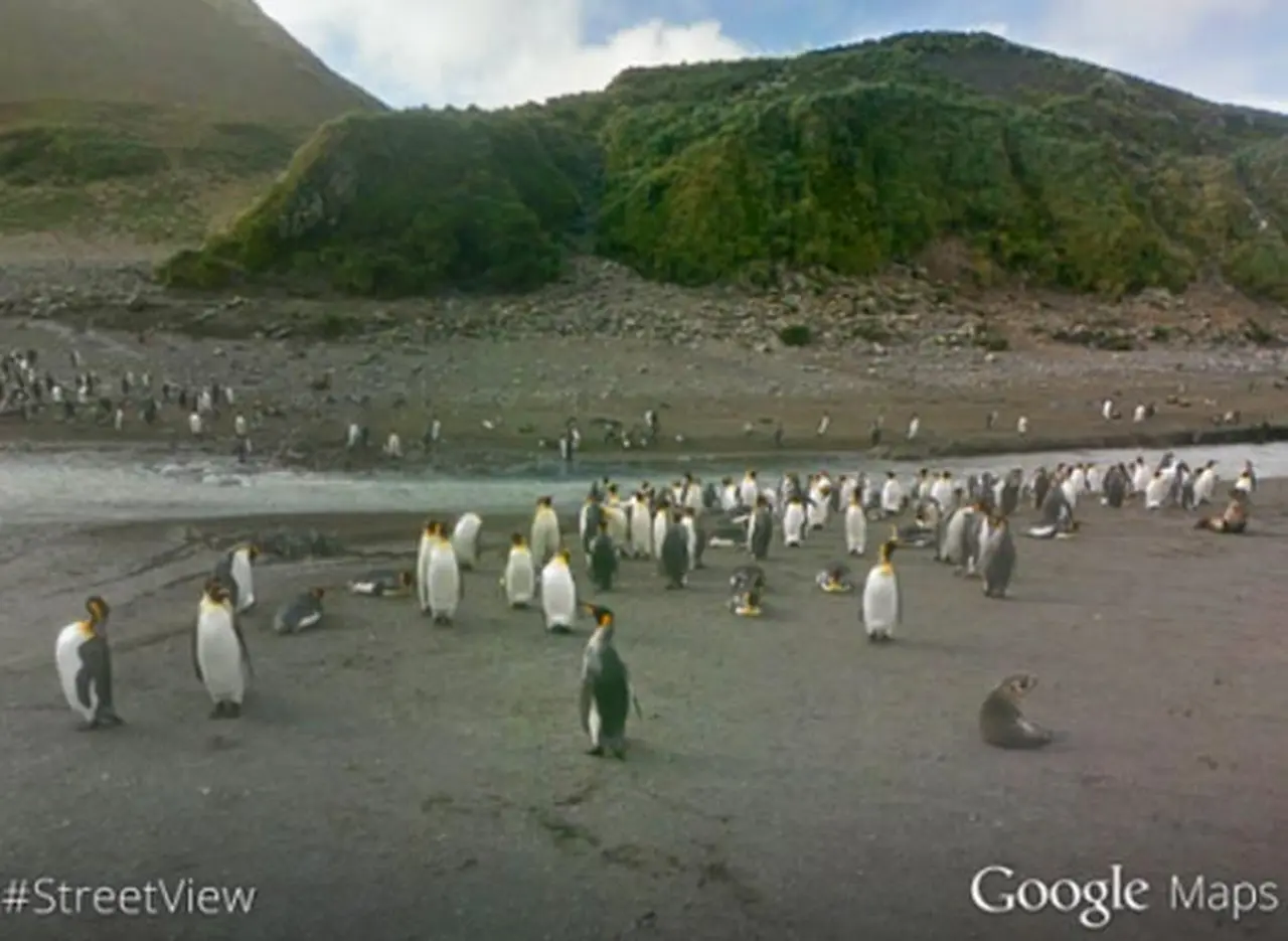 Google Street View llegó a las islas Malvinas
