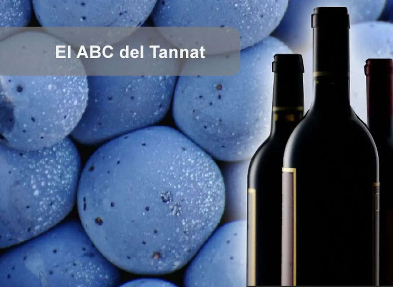 El ABC del Tannat: 10 claves para conocer mejor las cualidades de esta variedad