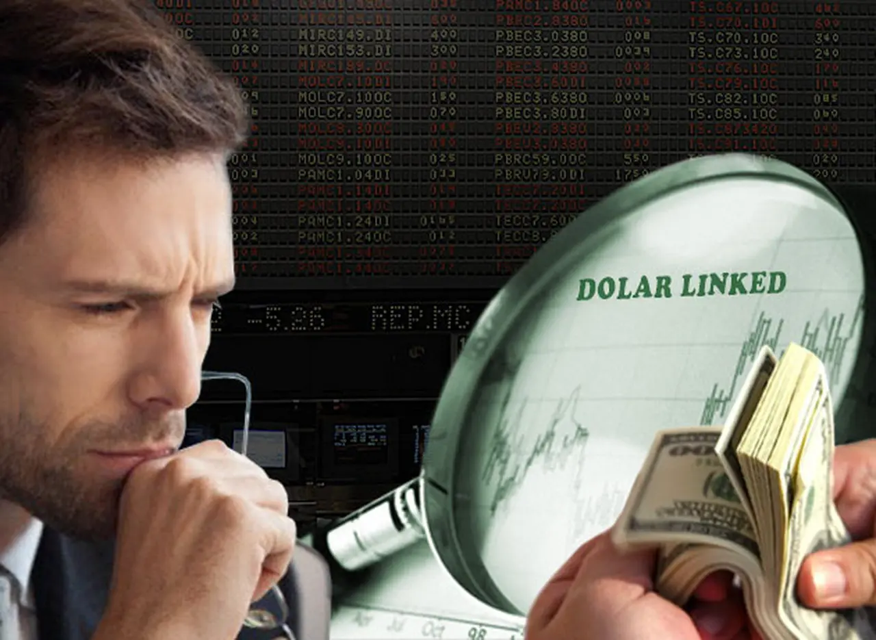 Analistas apuestan a que se unifique el tipo de cambio y recomiendan los bonos dólar linked