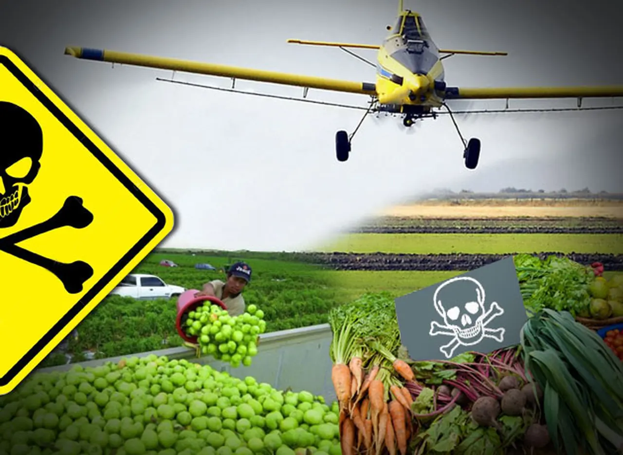 Argentina envenenada: proliferan el cáncer y las malformaciones por el uso de quí­micos en alimentos