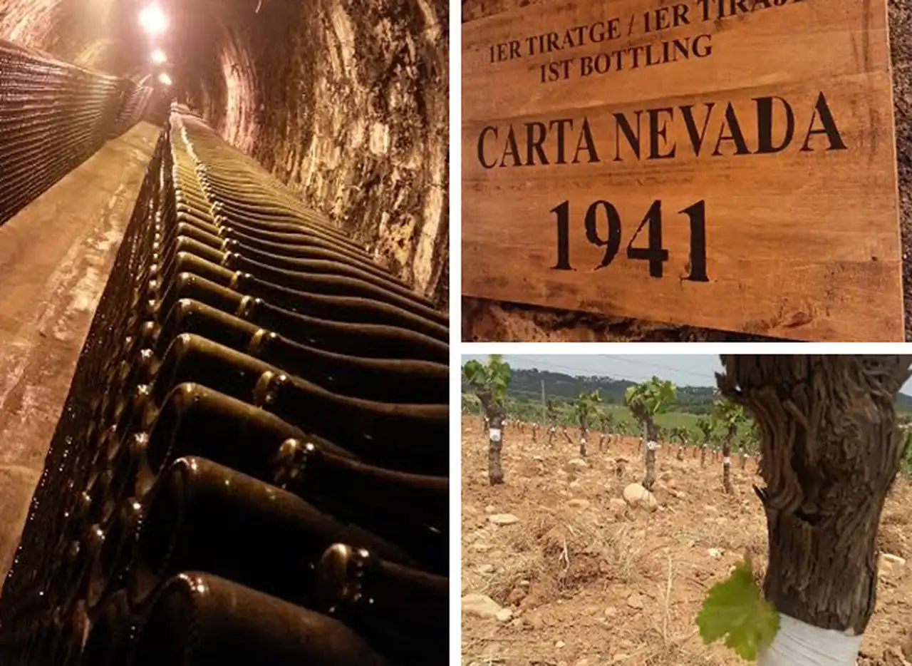 La bodega Freixenet y Henkell se unen para crear la empresa de espumantes más grande del mundo
