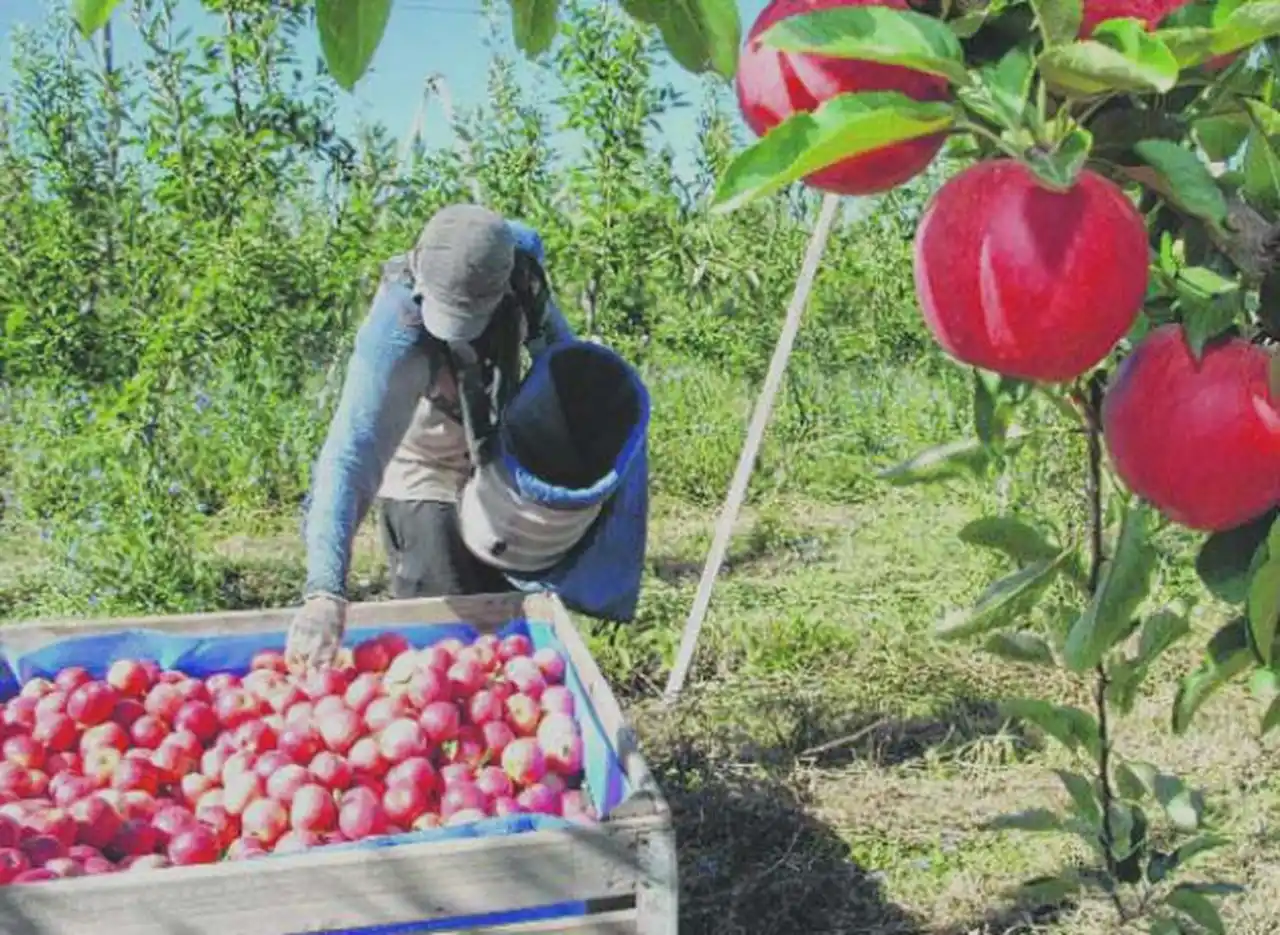 Tras 13 dí­as de piquetes, productores frutihortí­colas liberaron las rutas pero viven una "tormenta perfecta"