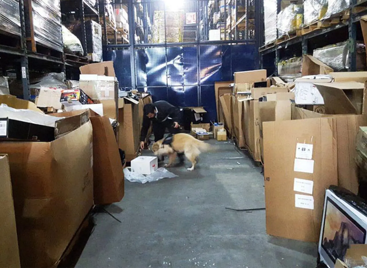 El fisco secuestró juguetes sexuales que eran importados en forma ilegal desde Miami