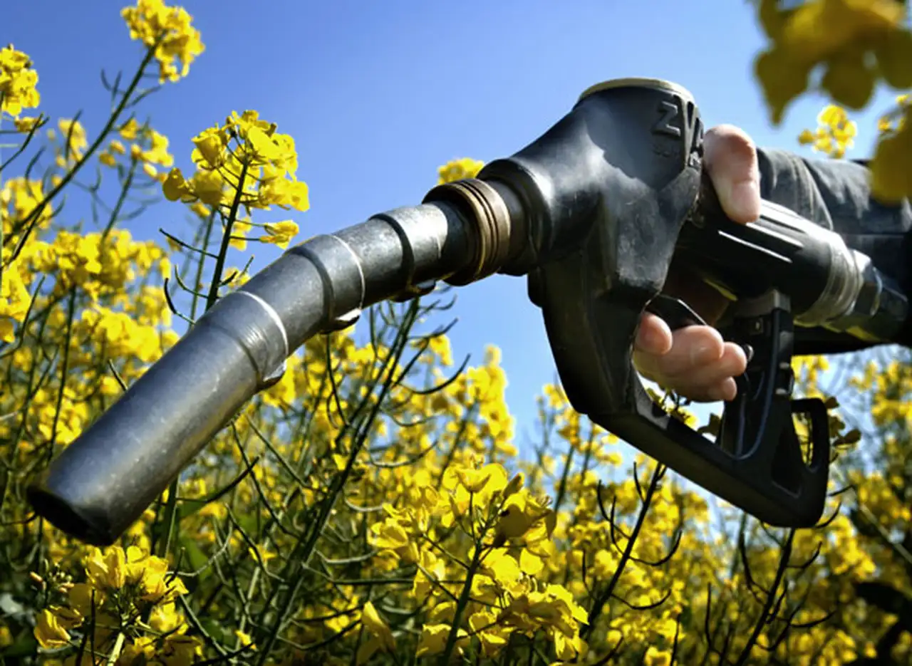 Biodiesel y la falsa dicotomí­a: por qué llenar el tanque con energí­a derivada de soja no compite con los alimentos