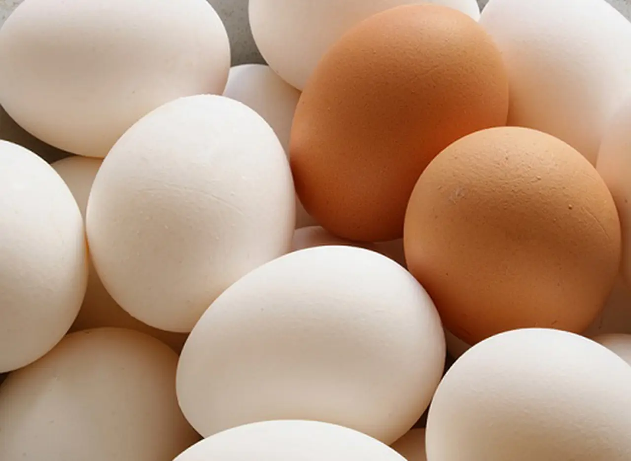 Productores de huevos furiosos por quedar fuera de la rebaja del IVA