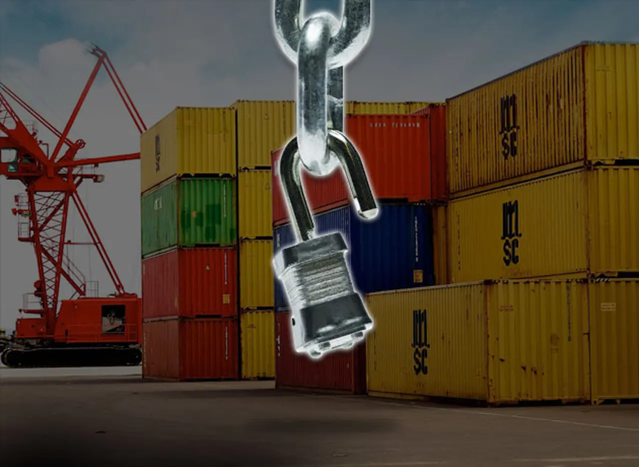 La AFIP lanzó el SIMI para erradicar las declaraciones anticipadas de importación