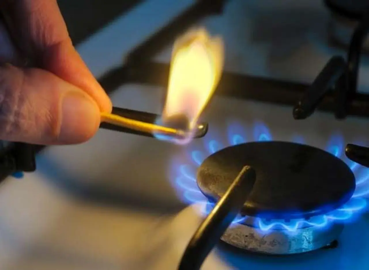 subsidios luz gas