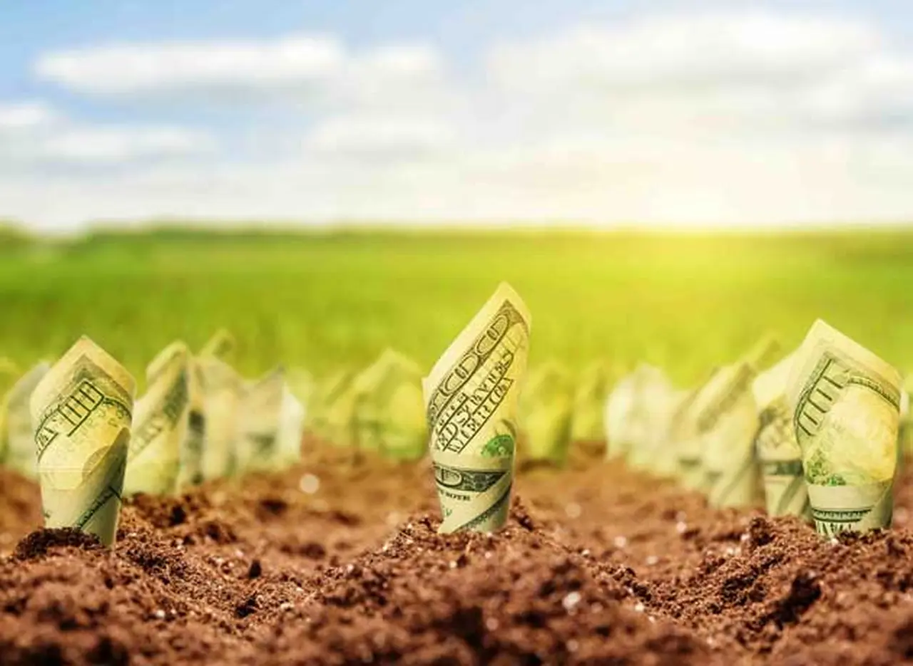 Cómo invertir y no perder sus ahorros en el intento: alta rentabilidad y capitalización en ladrillos