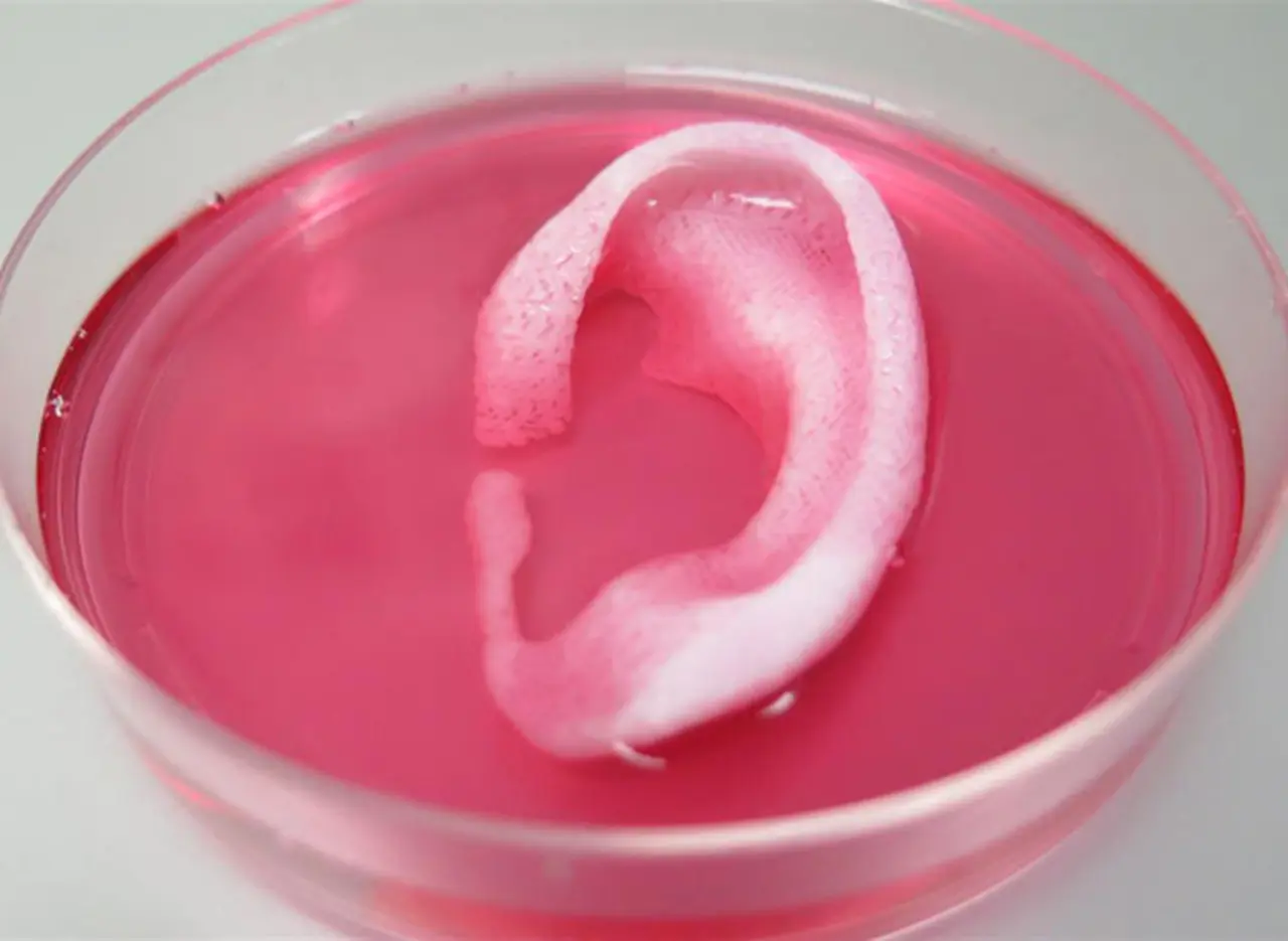 Desarrollan una impresora 3D capaz de fabricar tejido para humanos