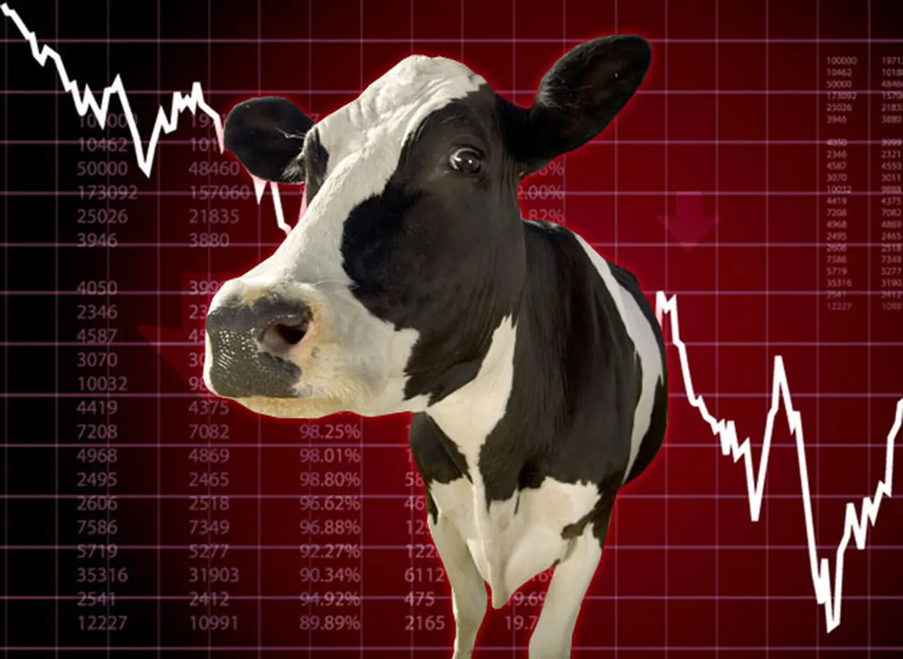 Del campo a la góndola: por qué el productor recibe $4 por litro de leche y en súper se vende a $20