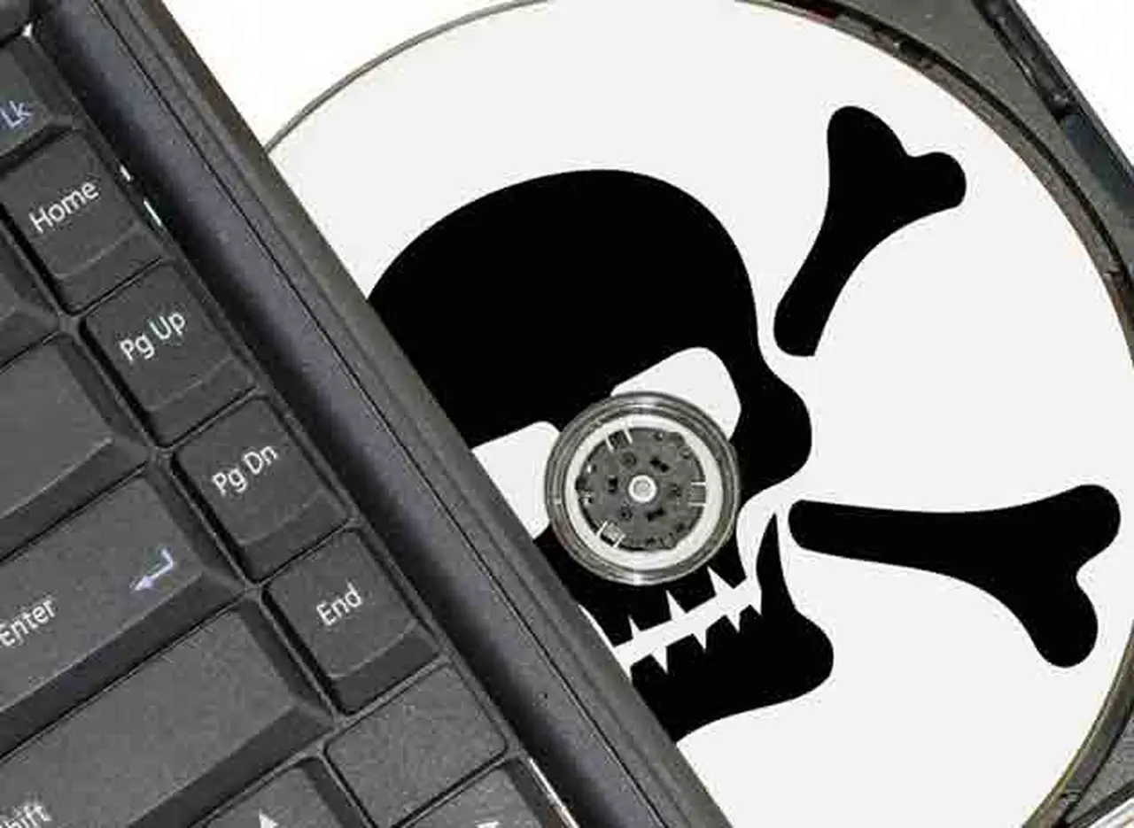 Siete de cada diez argentinos utilizan software ilegal