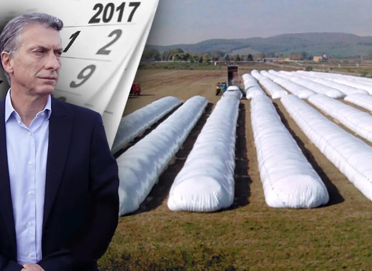Los gobiernos pasan pero el "canuto" sojero queda: hay en silobolsas más de 13 millones de toneladas de granos