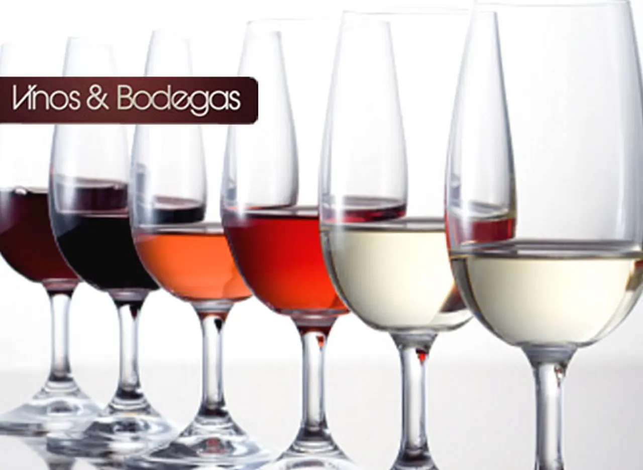 Wine tips: vinos ideales para transitar el camino desde los blancos dulces a los tintos