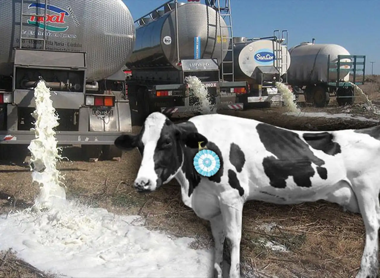 La industria láctea, en crisis: si no afronta una dura reconversión, la Argentina va camino a importar leche
