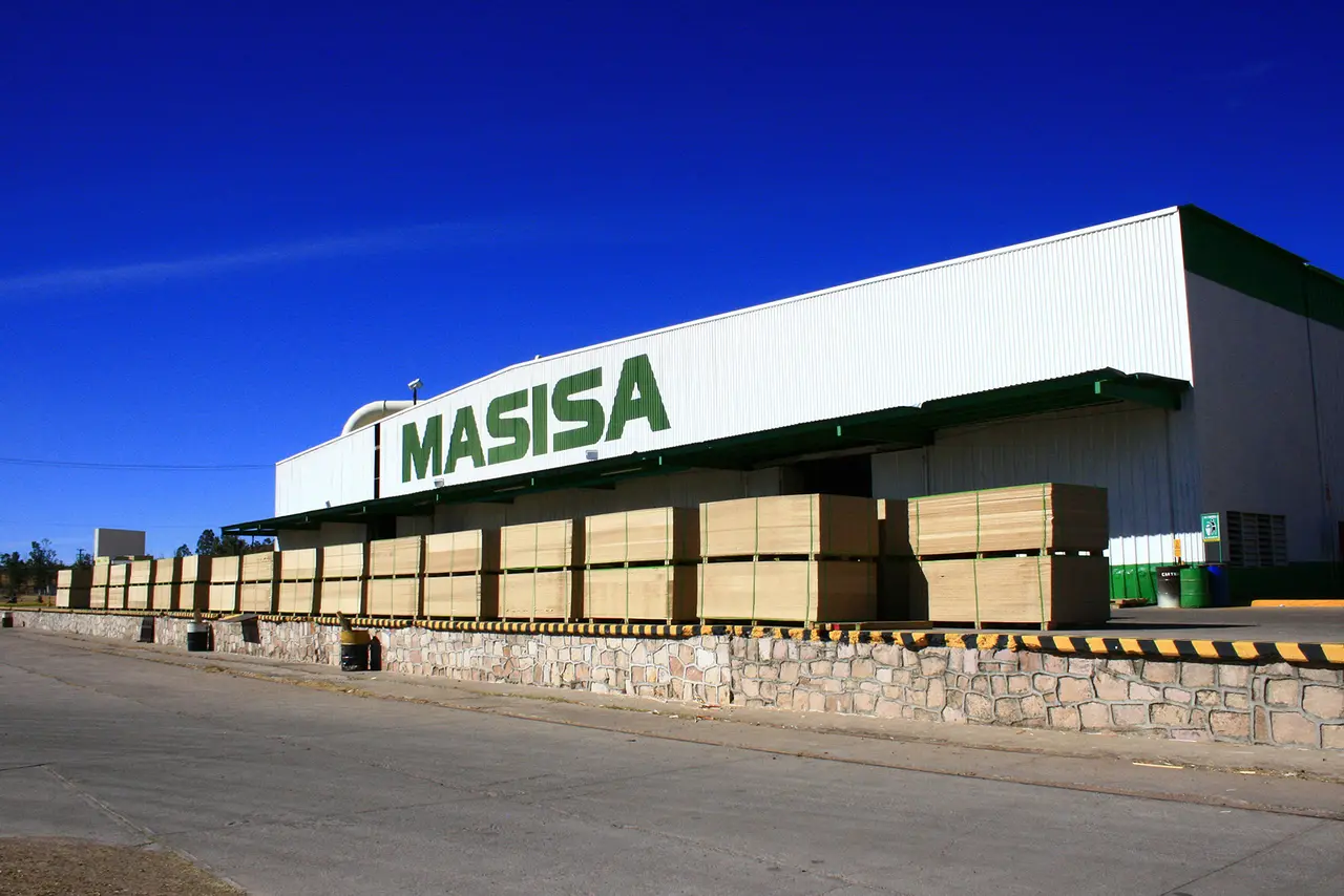 Central Puerto diversificó sus actividades al quedarse con los activos forestales del grupo chileno Masisa 