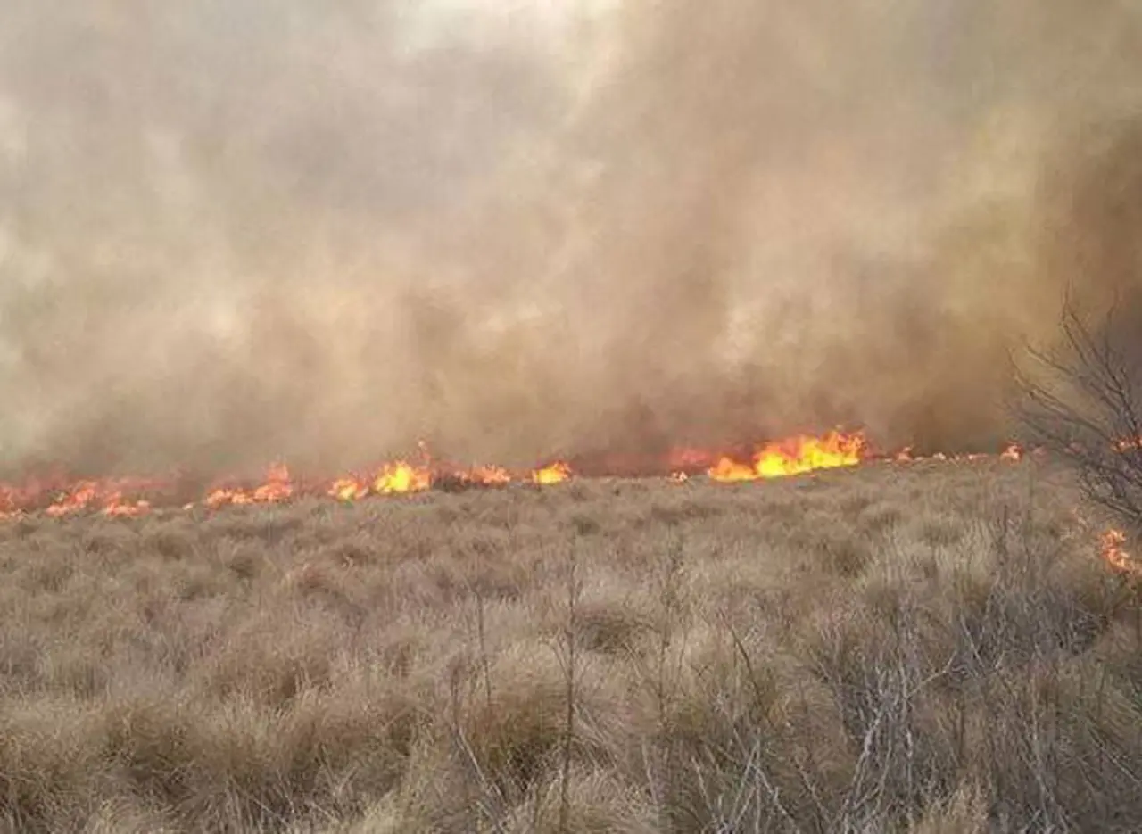 Incendiaron puesto de una estancia de Benetton en Chubut