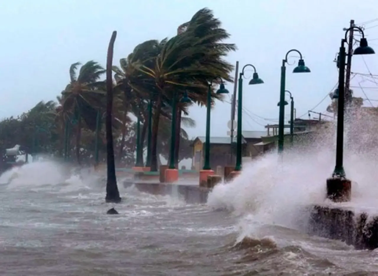 Refugiados en hoteles y en sus casas, familias argentinas esperan el paso del huracán Irma en Florida