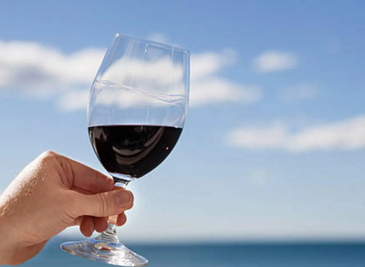Vinos ideales para el verano: ocho tintos perfectos para disfrutar los dí­as de calor