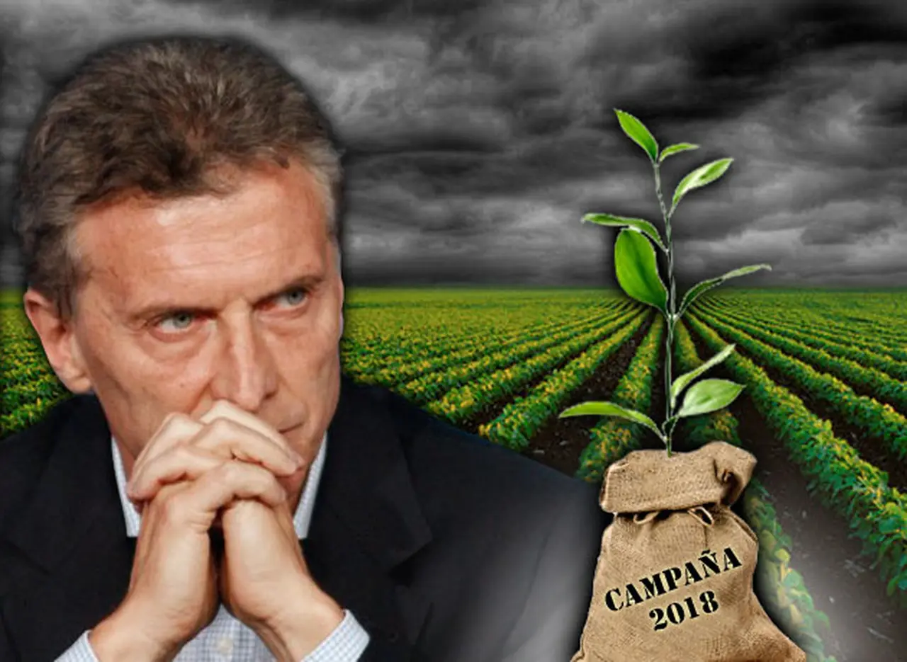 La mancha del festejo macrista: termina la "súper soja" y el poder de compra del campo cae al nivel más bajo en 15 años