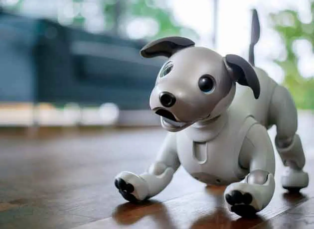 Video: Aibo, el perro robótico de Sony, ahora comparte emociones con sus dueños