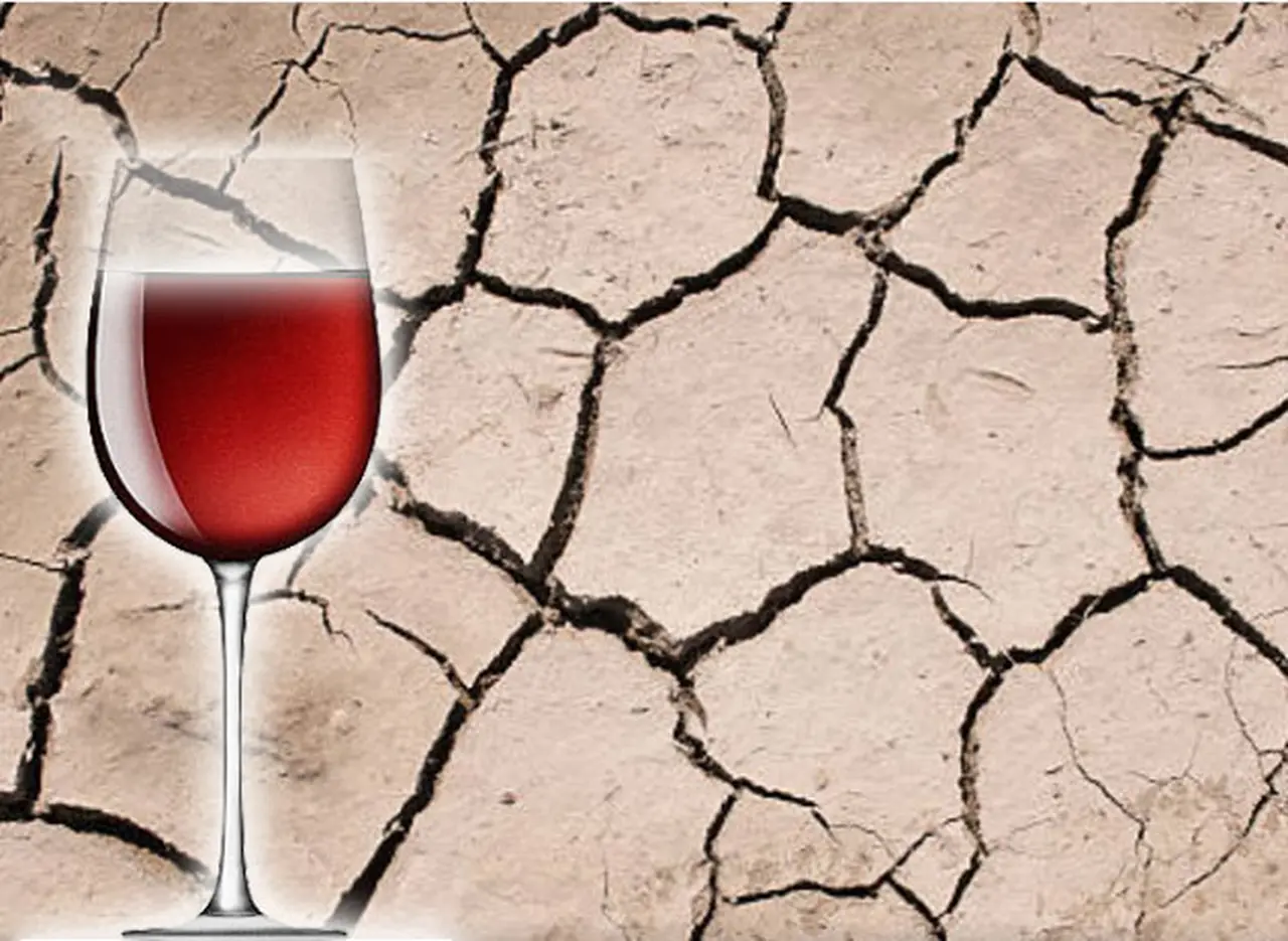 Diez vinos extremos que resumen el espí­ritu épico de la vitivinicultura argentina