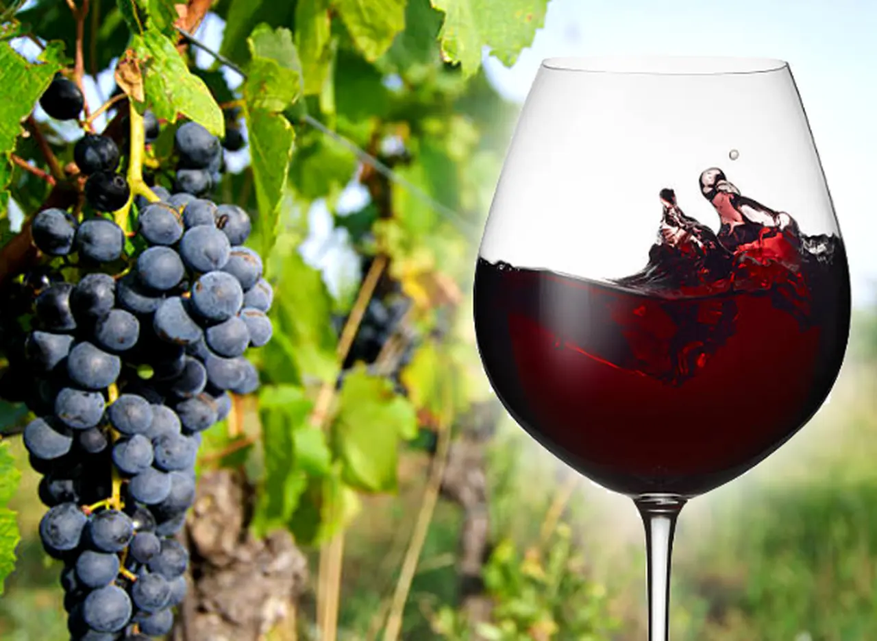 Vinos con carácter: 8 blends tintos del Norte Argentino que tenés que probar