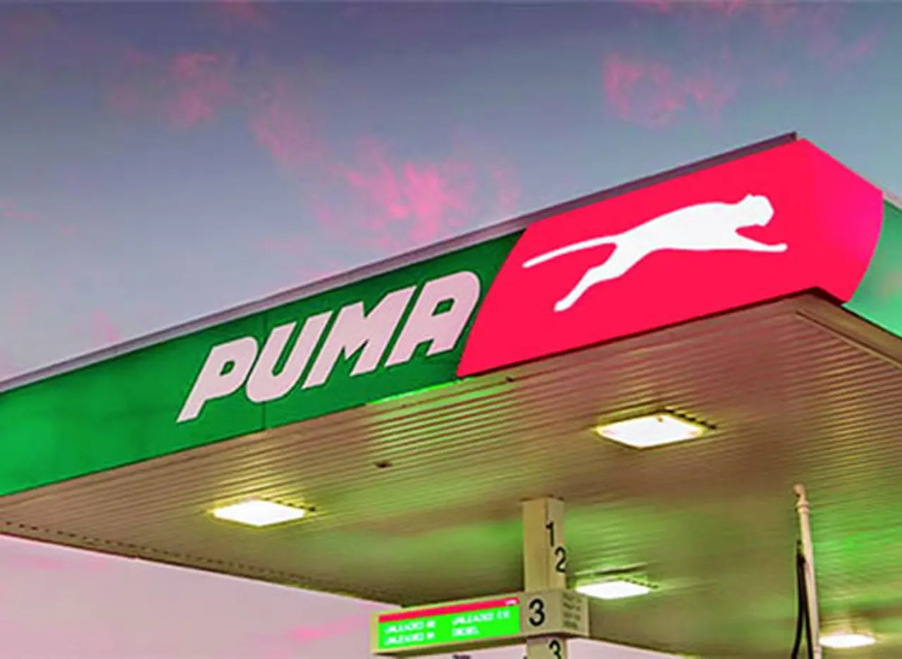 Estacion Puma
