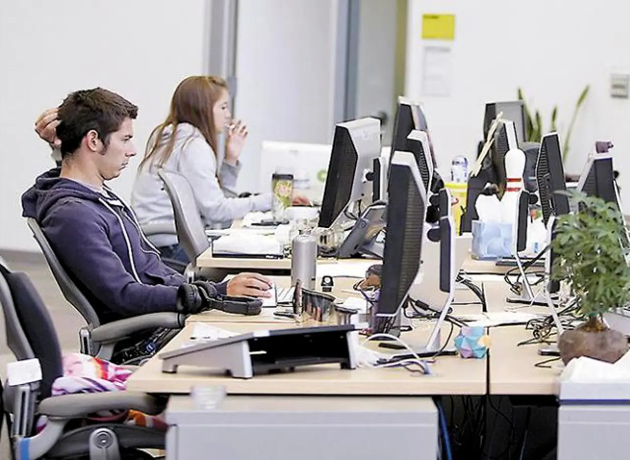 Encuesta revela que la mitad de los argentinos elegirí­an trabajar en el Estado antes que en empresas