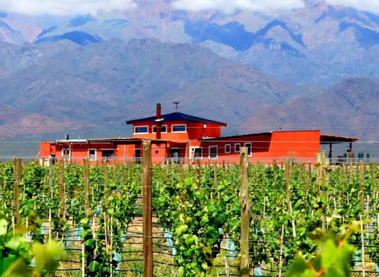 Un empresario irlandés adquirió una bodega boutique de Mendoza