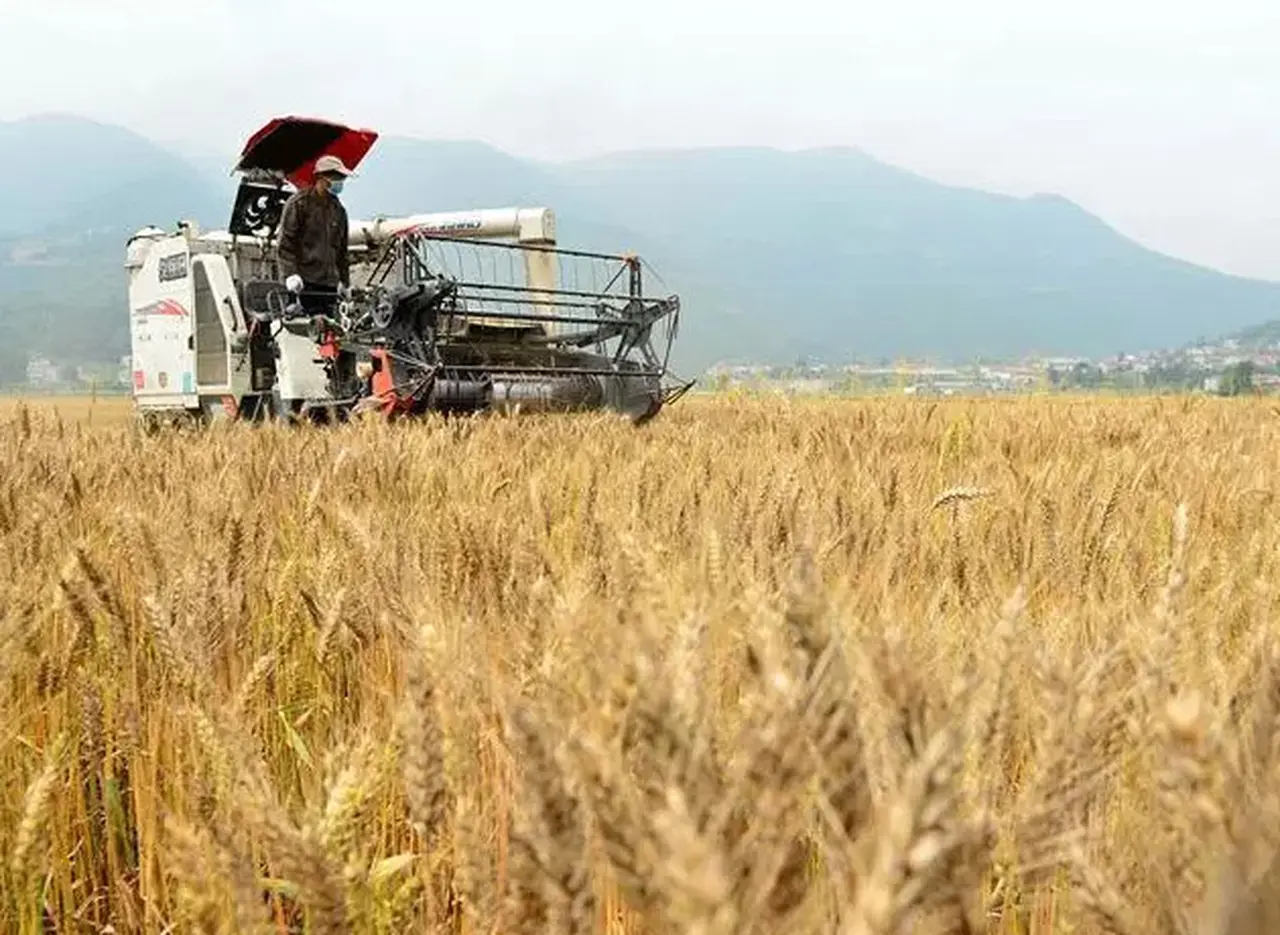 Otro estudio anticipa menos crecimiento del PBI por la sequí­a que sufre el campo en la Argentina