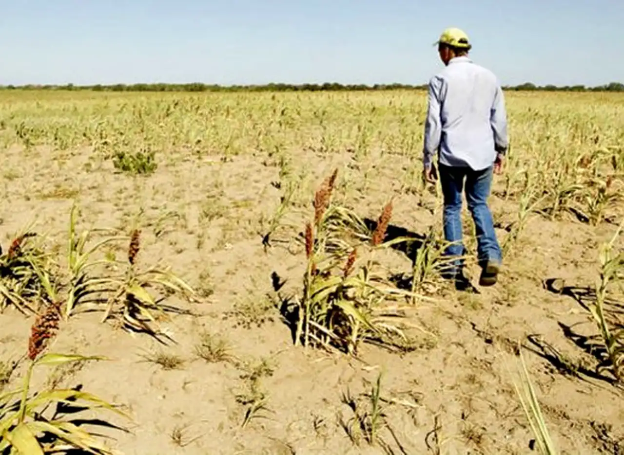 Más economistas reducen su estimación de crecimiento por el impacto de la sequí­a en el campo