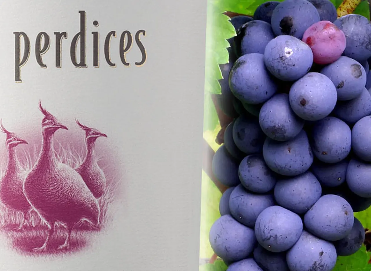 Adelanto: así­ es el plan que desarrolló Viña Las Perdices para producir vinos en el Valle de Uco