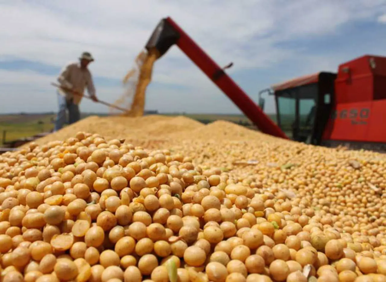 Las cuotas llegaron a los alquileres agrícolas