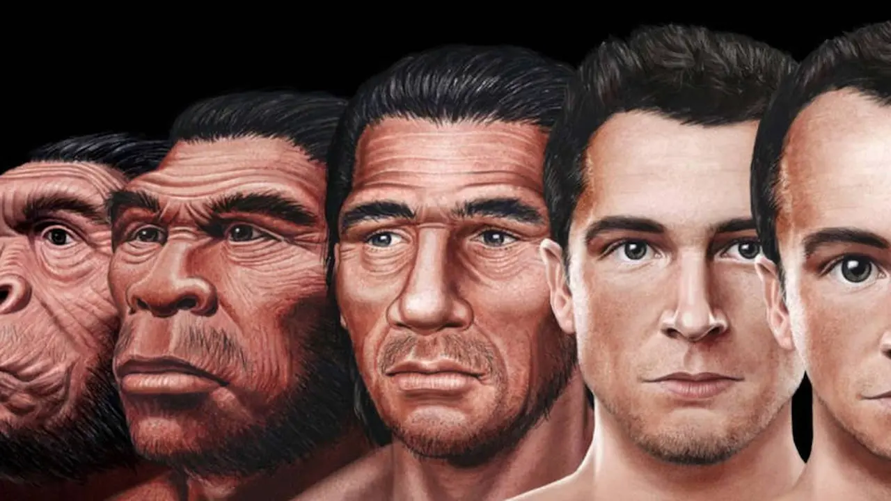 Científicos definieron cómo será el rostro humano del futuro