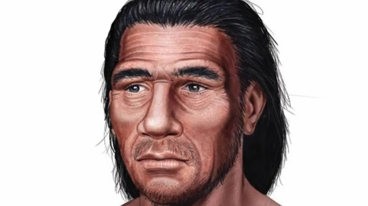 Homo neanderthalensis. Vivió hace 230 mil años