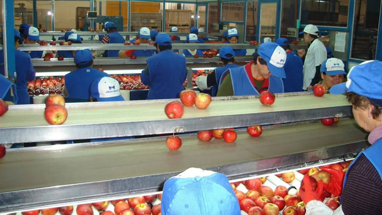 La totalidad de la manzana podrá ser aprovechada desde ahora