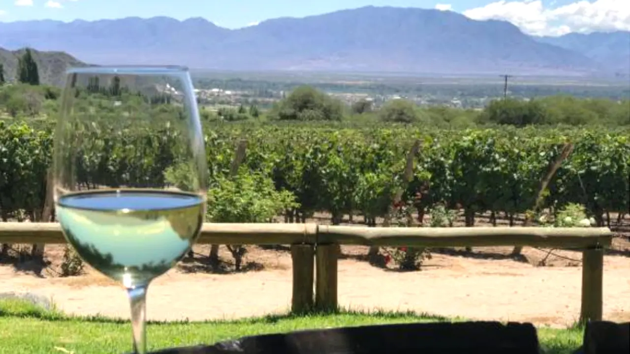 Impulsan la creación de la Ruta del Vino Casero y Artesanal de los Valles Calchaquíes