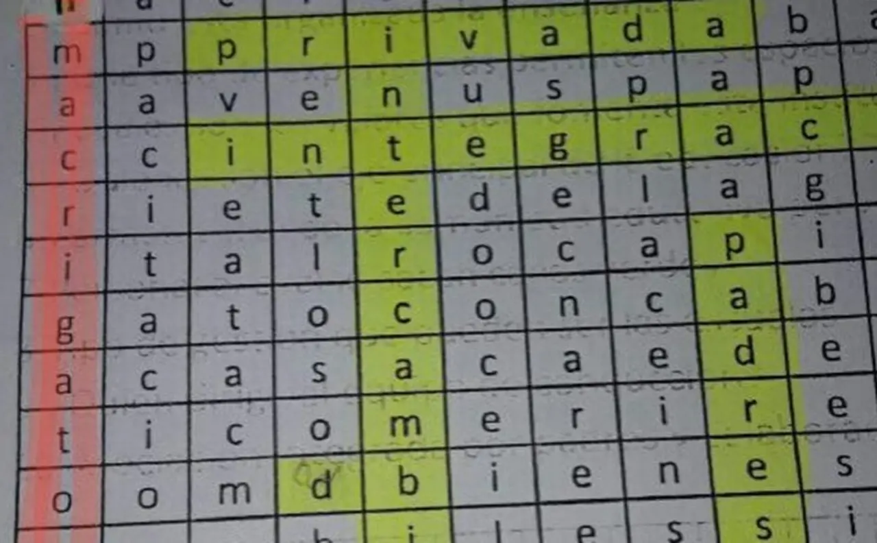 Docente dio a sus alumnos una sopa de letra con la frase “Macri gato sos cagón”