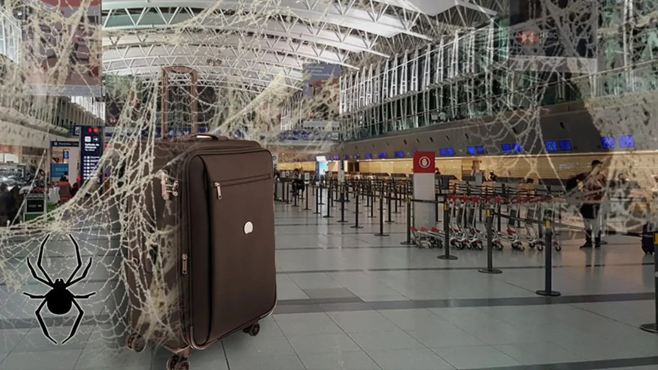 Con los aeropuertos cerrados, crece la crisis en empresas aéreas.
