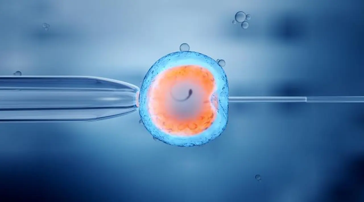 Fertilidad y familia: más del 80% de los argentinos está a favor de la reproducción asistida