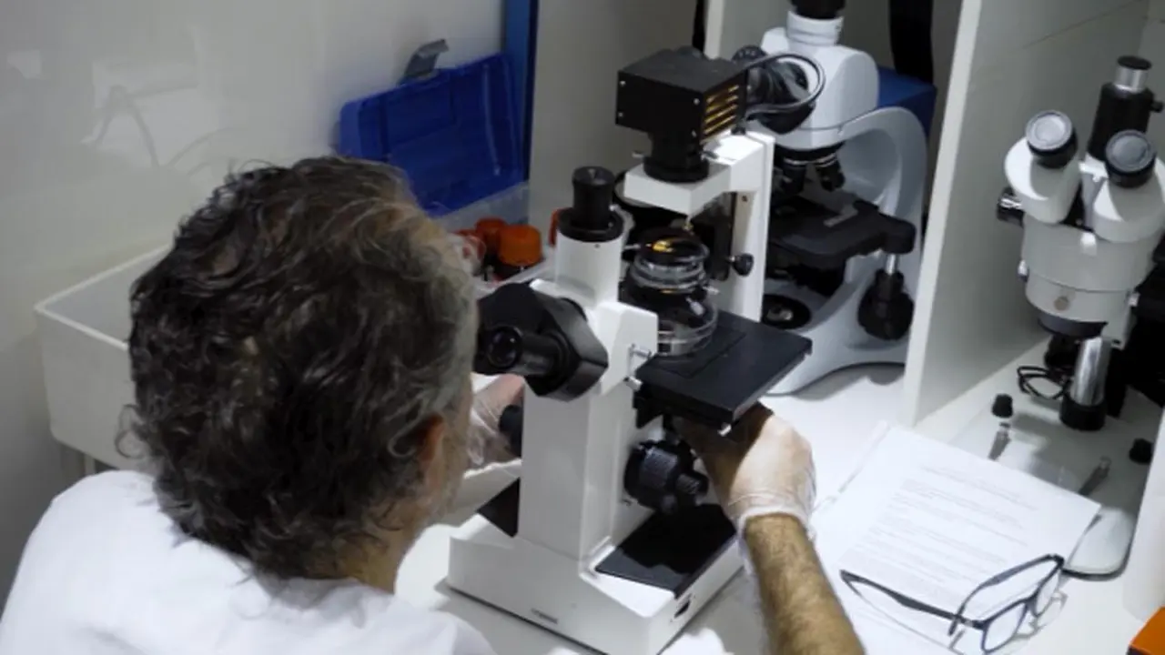 Fondo invierte u$s3 millones en empresas argentinas de tecnología espacial y biotecnología