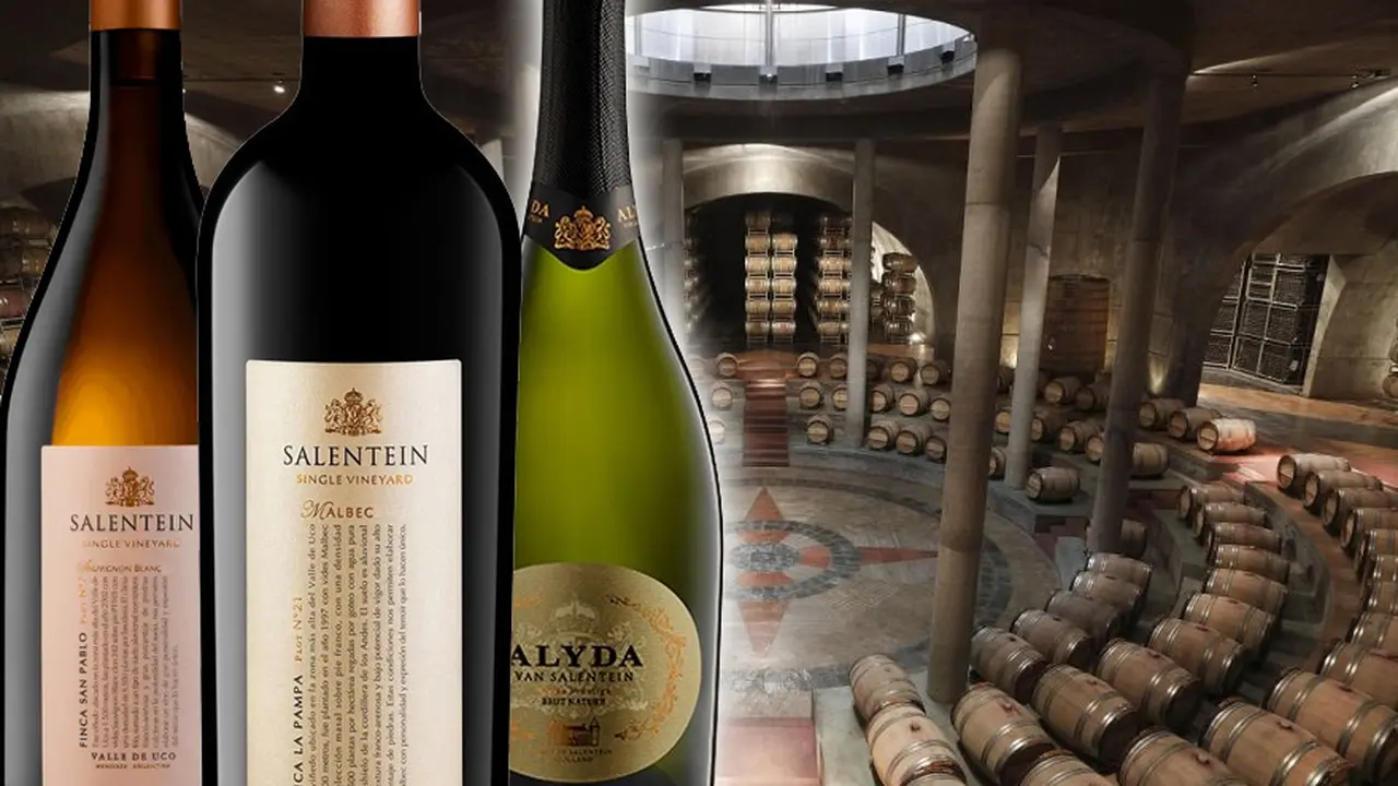 Vinos que hay que probar: 6 etiquetas para redescubrir Salentein