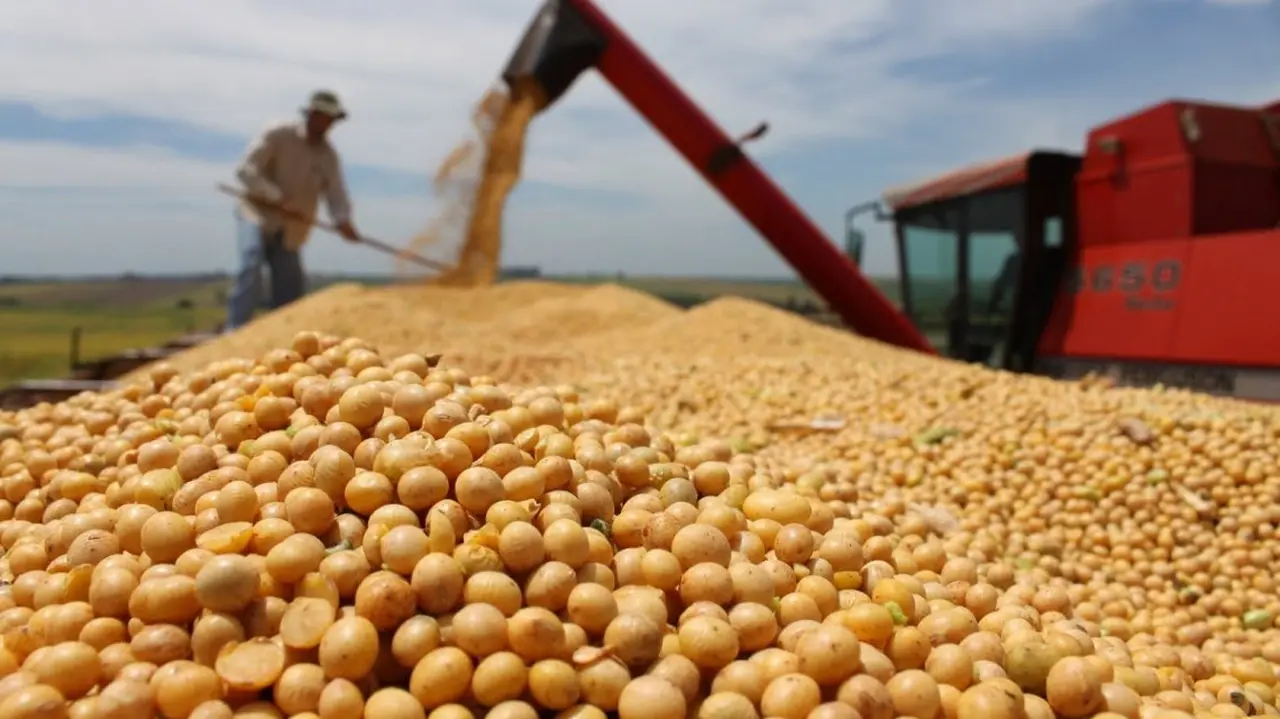 Argentina se convirtió en mayor comprador de soja estadounidense